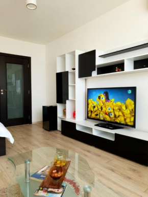 Studio Central Piatra Neamţ